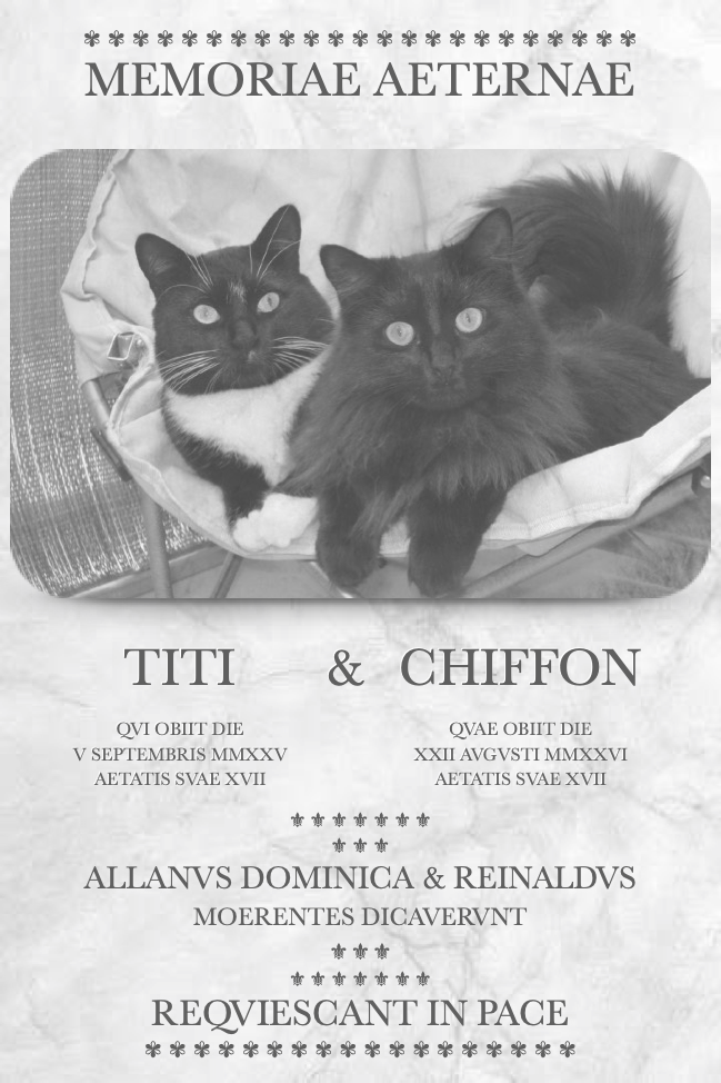 Titi (2008-2025) et Chiffon (2009-2026)
